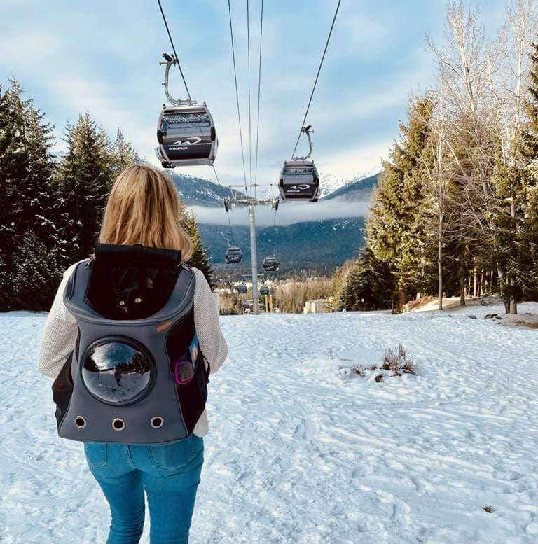 PurrVenture Backpack – Portable Pet Carrier for Cats and Small Pets