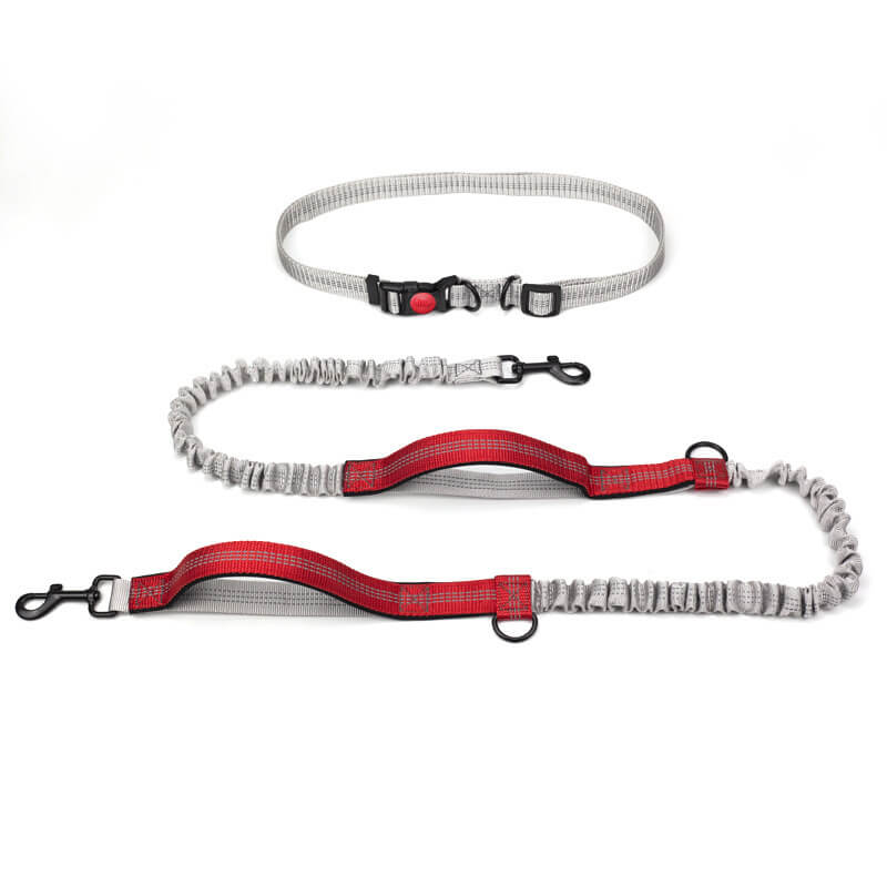 Telescopic Double Handle Multifunctional Dog Leash