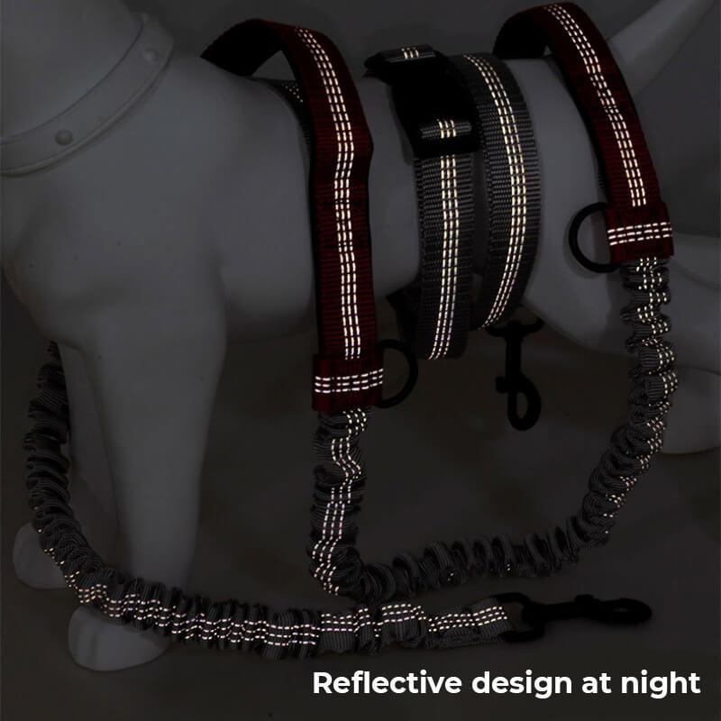 Telescopic Double Handle Multifunctional Dog Leash