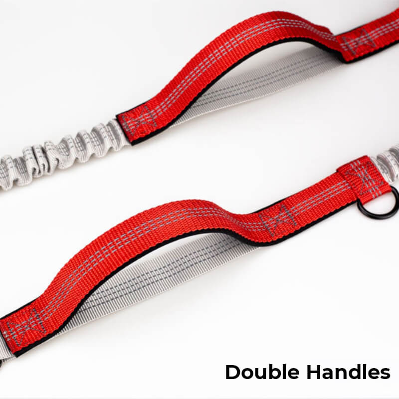 Telescopic Double Handle Multifunctional Dog Leash