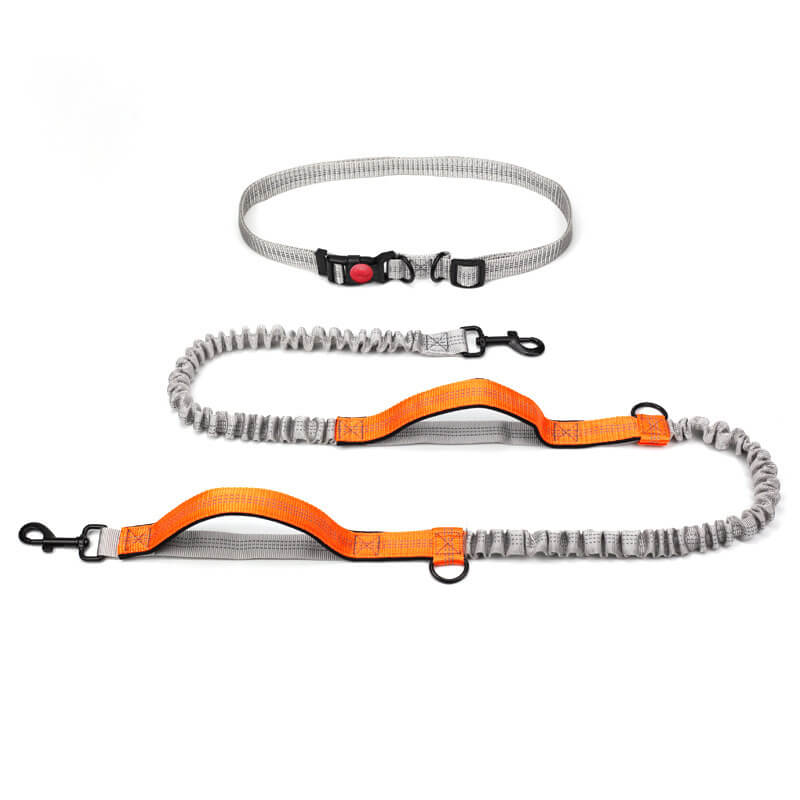 Telescopic Double Grip Multifunctional Dog Leash