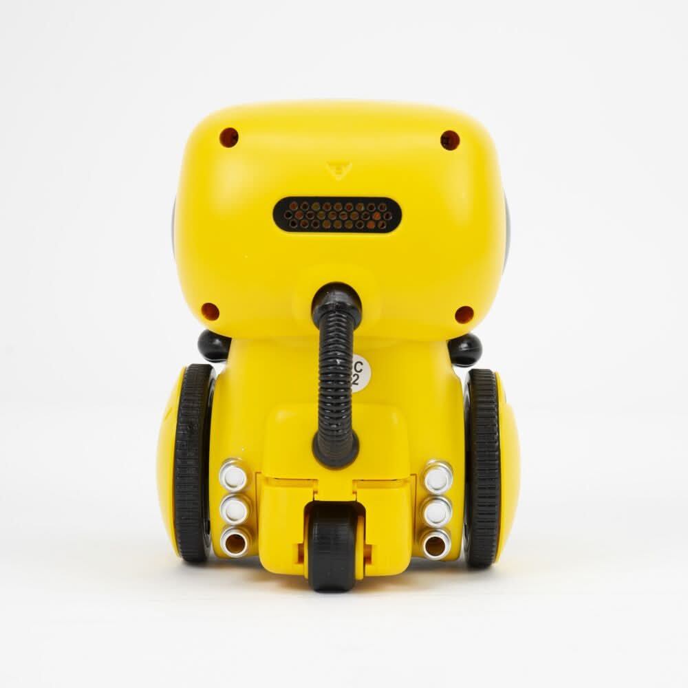 Interactive Dance Robot for Kids