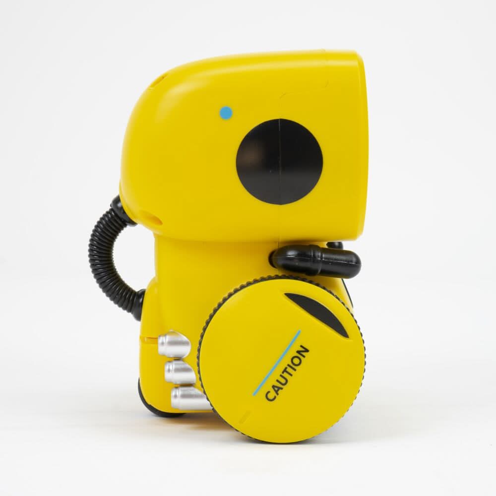 Interactive Dance Robot for Kids