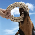 Robust cotton chew ring for dogs