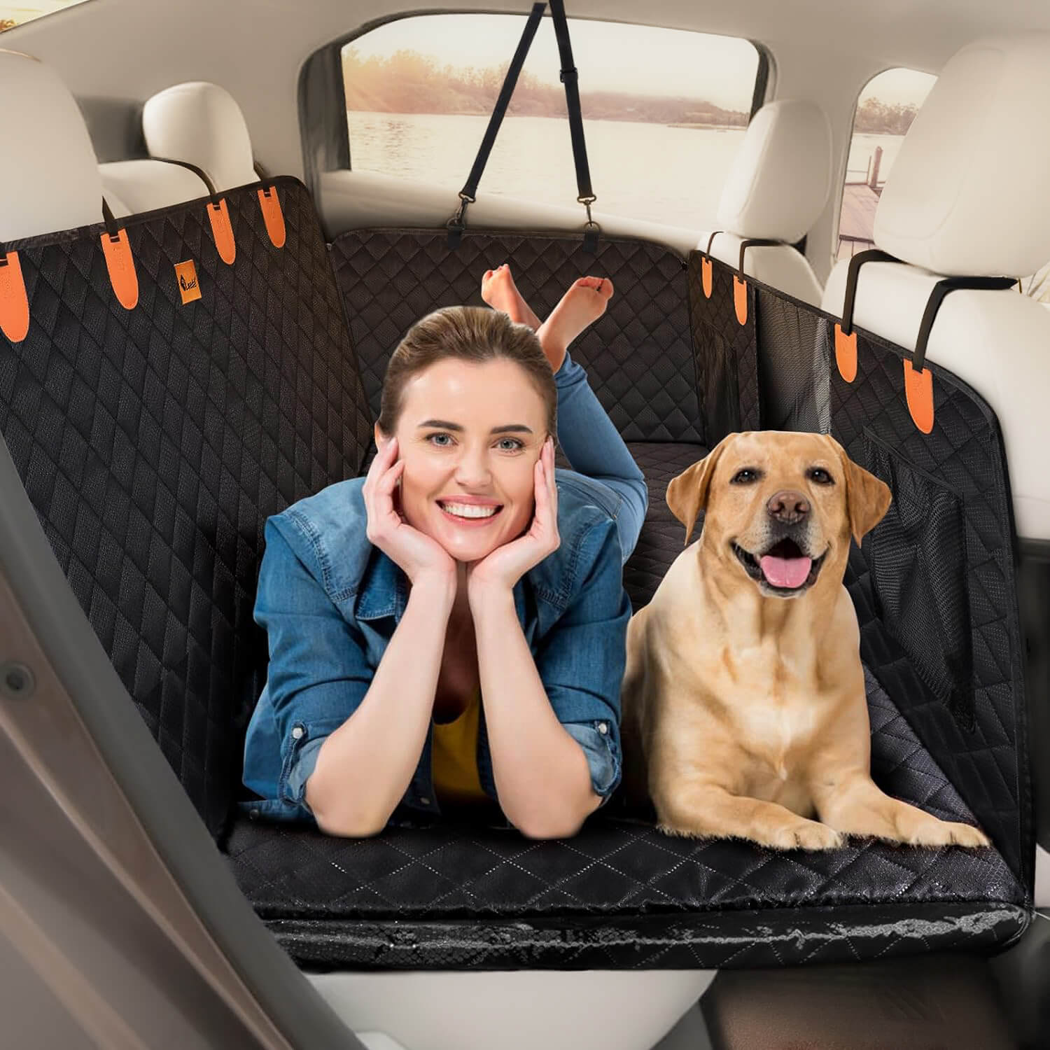 DogBench | Travel peacefully with your dog