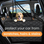 DogBench | Travel peacefully with your dog