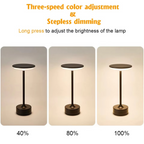 USB Rechargeable LED Touch Sensor Table Lamp