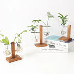 Vasoya Glass Vases | 3-Piece Set with Wooden Frame | Scandinavian & Versatile | For Flowers & Hydroponics