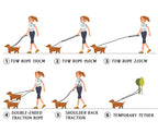 FreedomLeash – Innovative Hands-Free Dog Leash