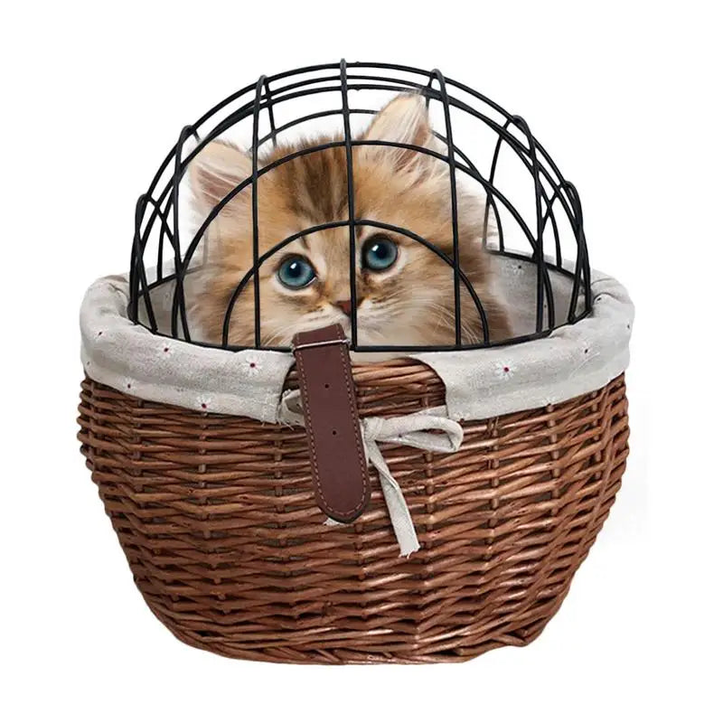 Comfortable and safe travel for your pet