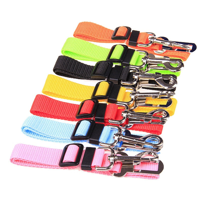 Safety seatbelt for Pets