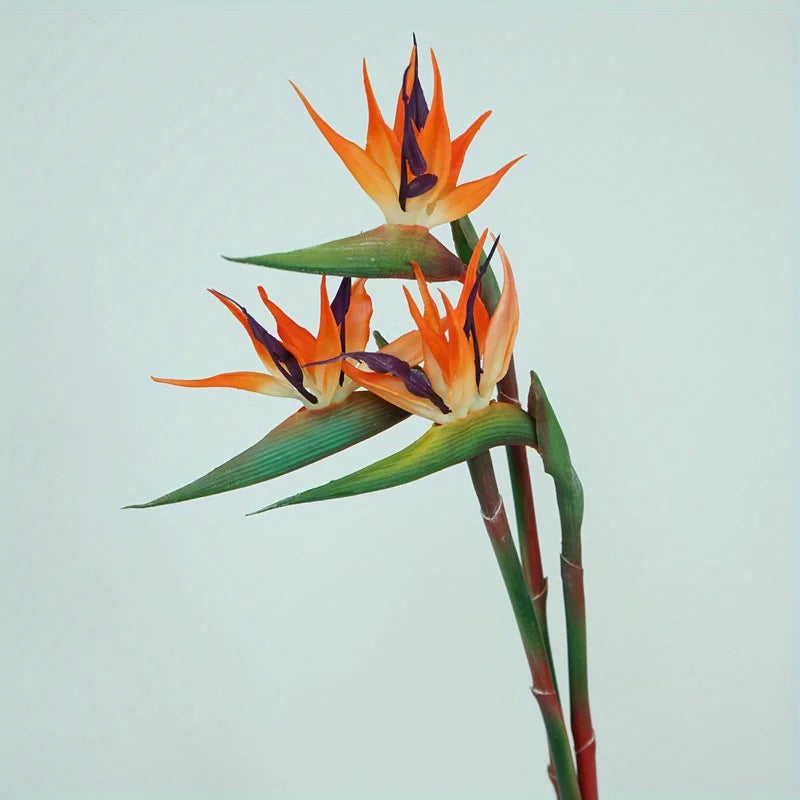 Floriva 3 Piece Set Artificial Strelitzias | Bird of Paradise Flowers | 24.5 cm Long Stems | Decoration for Home, Office & Events