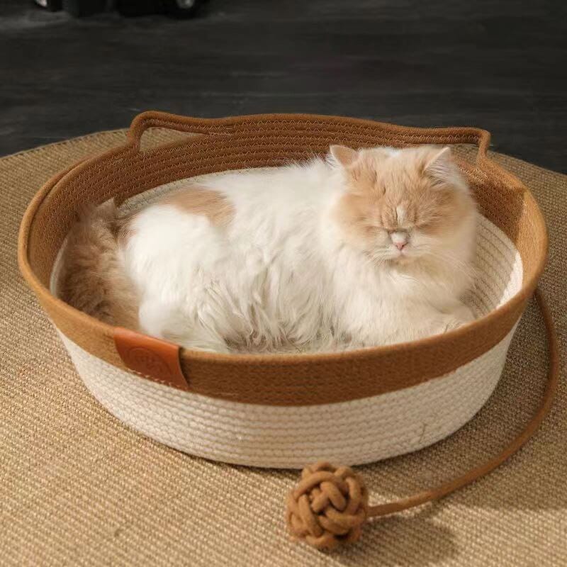 CoolPaws Restful Cooling Escape