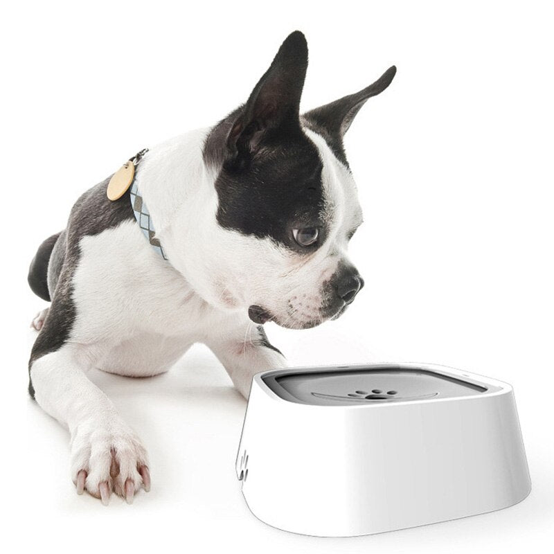SplashGuard – Efficient Dog Spray Protector Against Stains