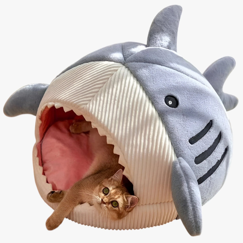 SoftBloom Shark Cat Bed – Cozy Hideaway for Indoor