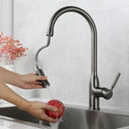 Stainless Steel Kitchen Faucet with Pull-Out Sprayer
