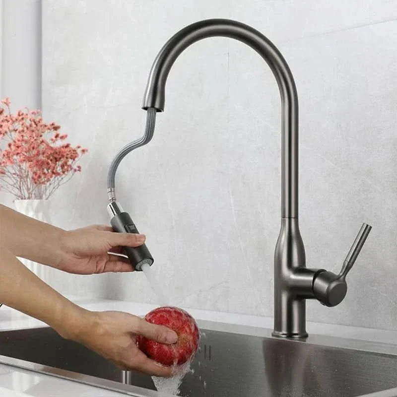 Stainless Steel Kitchen Faucet with Pull-Out Sprayer