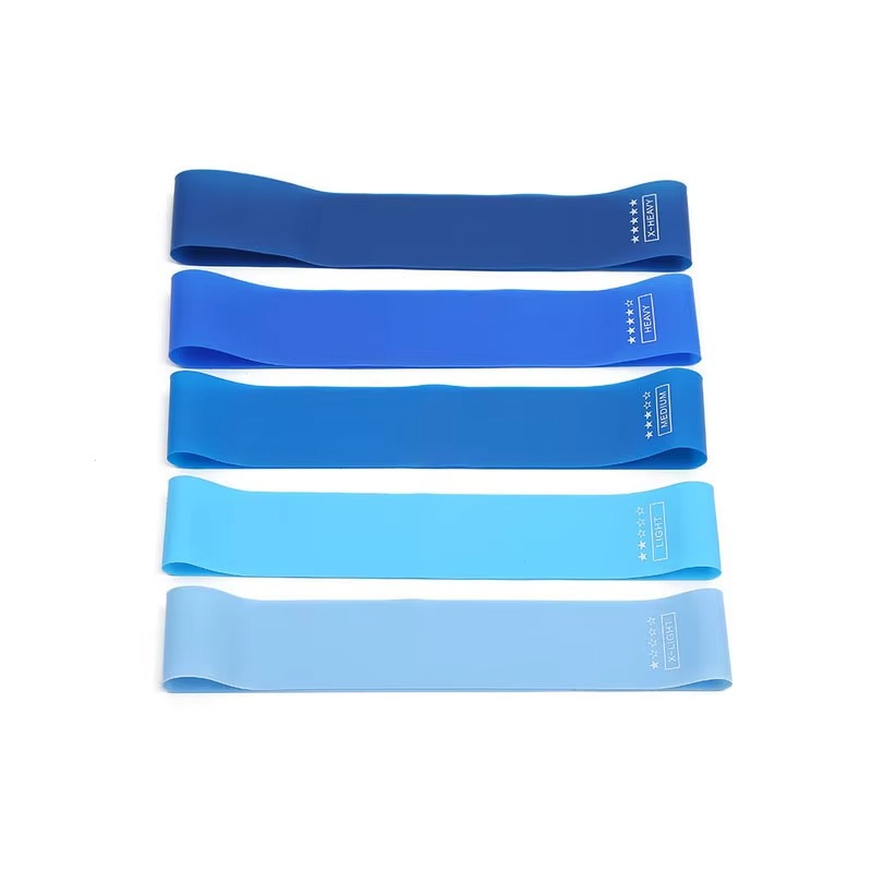 Resistance Bands Fitness Set for Strength Training and Full Body Workouts