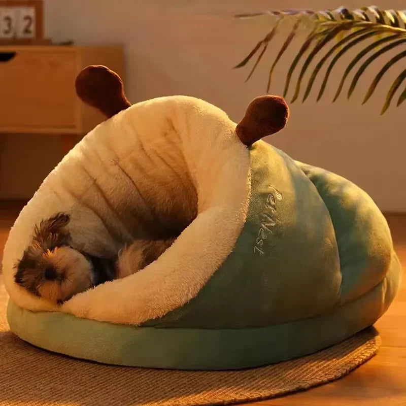 Winter Cuddles for Your Dog