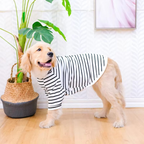 Breathable Cotton Stripe T-Shirt for Dogs