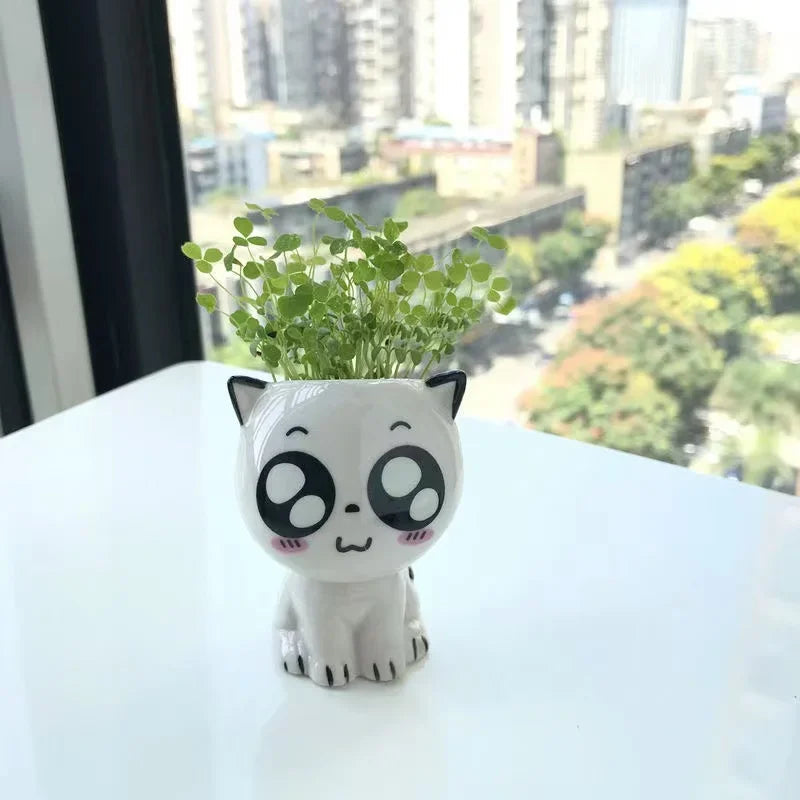 PurrPlant Mini Ceramic Pot | Cute Cat Design | For Desk & Decor