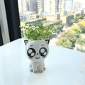 PurrPlant Mini Ceramic Pot | Cute Cat Design | For Desk & Decor