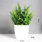 Everleaf Bonsai | Eucalyptus Design | Low Maintenance & Durable | Decorative