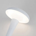 Magical lamp for exceptional moments