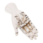 Zodiac Symbols Mystic Palmistry Hand Sculpture