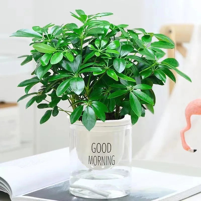 Artificial Plant EverLeaf 33 | 33 cm | With Stem & Leaves | Low-Maintenance Decor for Home & Office