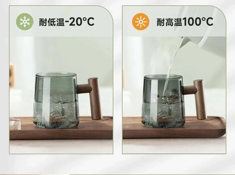 Ultramodern Glass Tea Cup with Filter and Lid