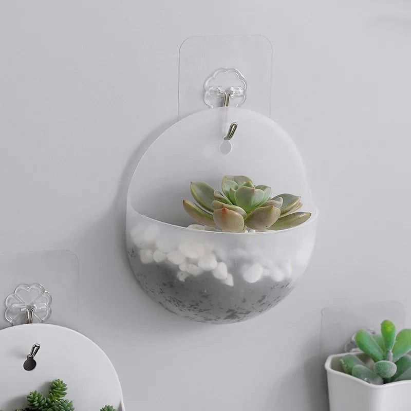 FloataWall Planter | Floating Design | Self-adhesive for Modern Wall Decoration