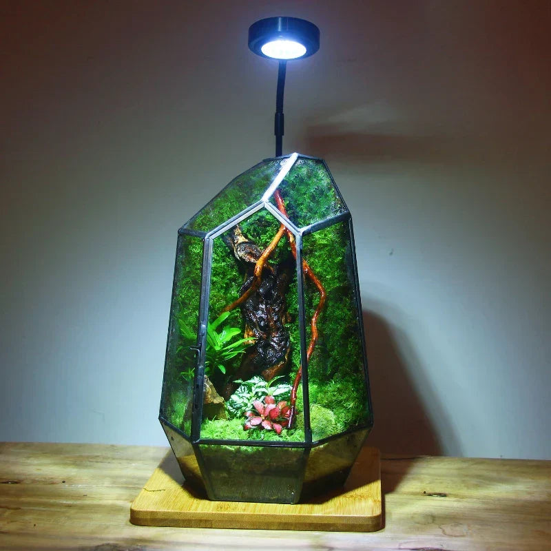 Modern Geometric Nature-Inspired Botanical Terrarium