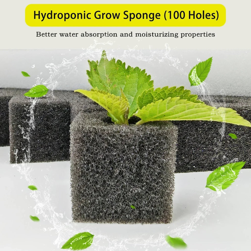 Germina Propagation Sponge Mat | 100 Seed Holes | For Hydroponics & Soil | 25×25cm