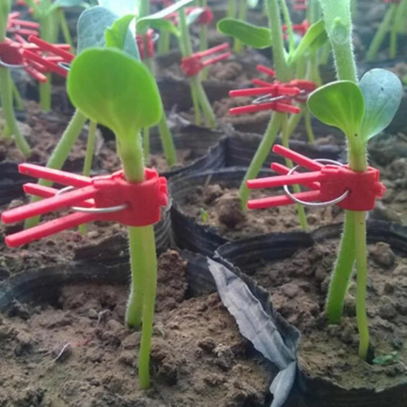 PlanturaClip Plant Clips | Stabilize & Fix | Gentle on the Plant | Versatile Use