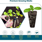 HydroLeaf Hydroponics Starter Set 120 pieces | With baskets, sponges & covers | For indoor gardening & cultivation