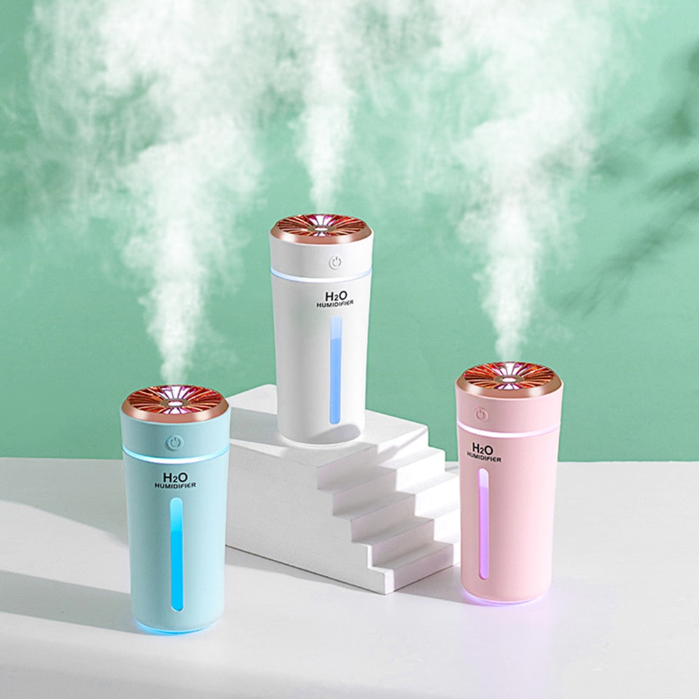 H2O Humidifier