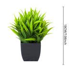 Leafora Artificial Eucalyptus Plant in Black Pot | Mini Decorative Plant | For Table, Bathroom & Office