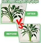 Plant Stem Support Frame