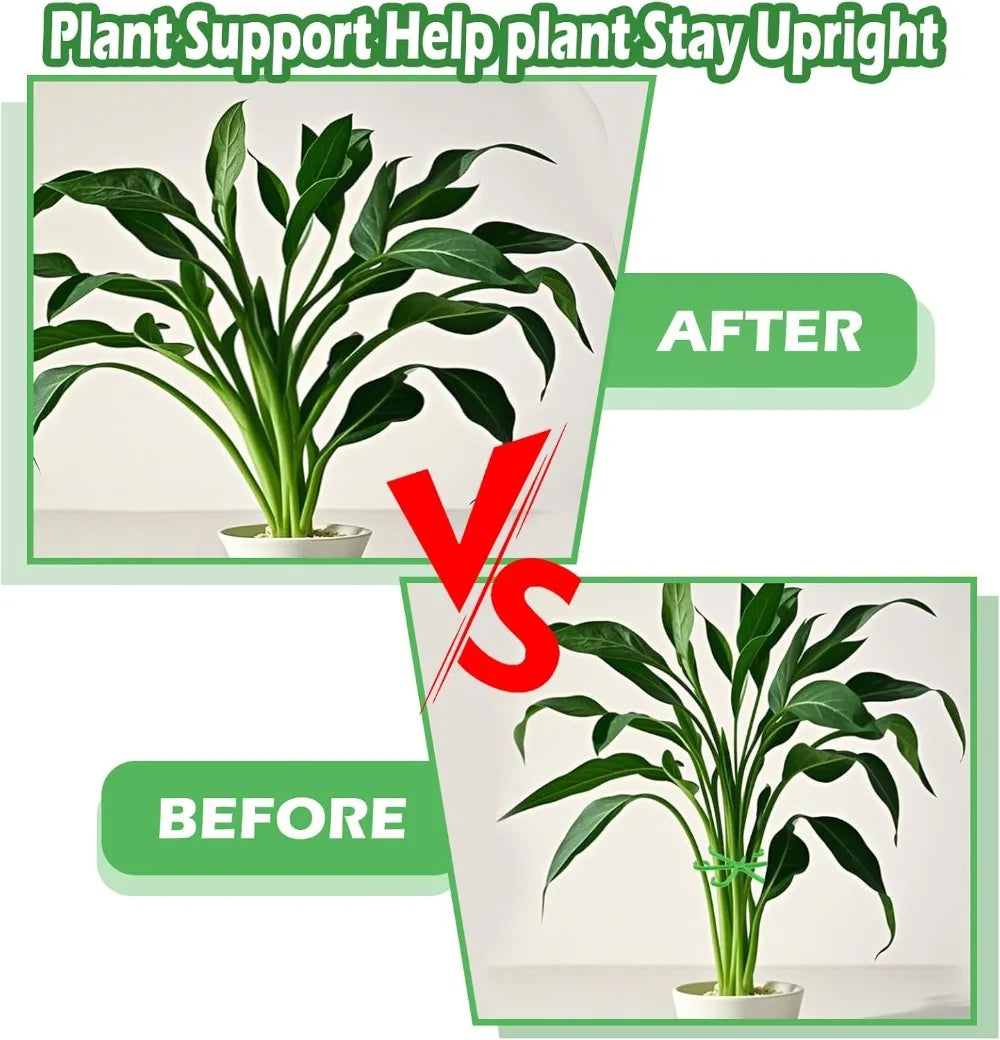 Plant Stem Support Frame