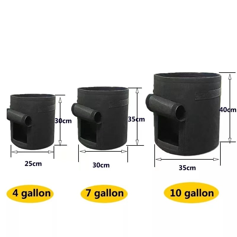 GrowMaster Pots – Stylish Grow Pot for Vegetables