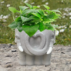 Adorable Cartoon-Styled Mini Plant Pot for Decorative Display