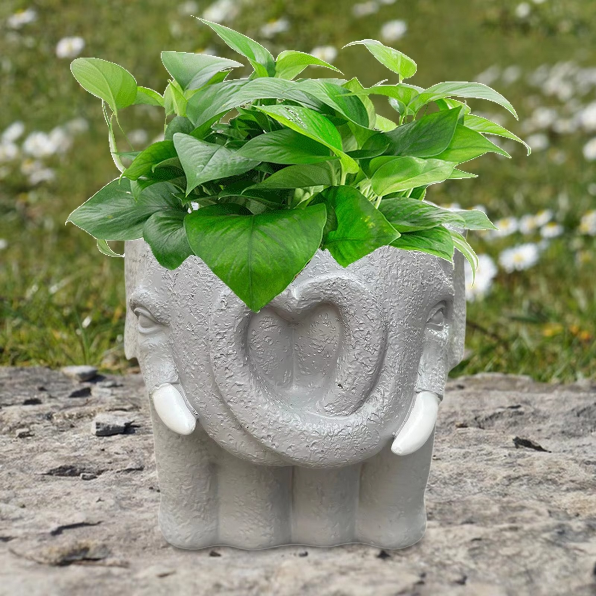 Adorable Cartoon-Styled Mini Plant Pot for Decorative Display