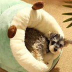 Winter Cuddles for Your Dog