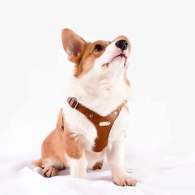 Adjustable Leather Dog Harness with Custom Engraving
