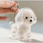 Transparent fur memory tag
