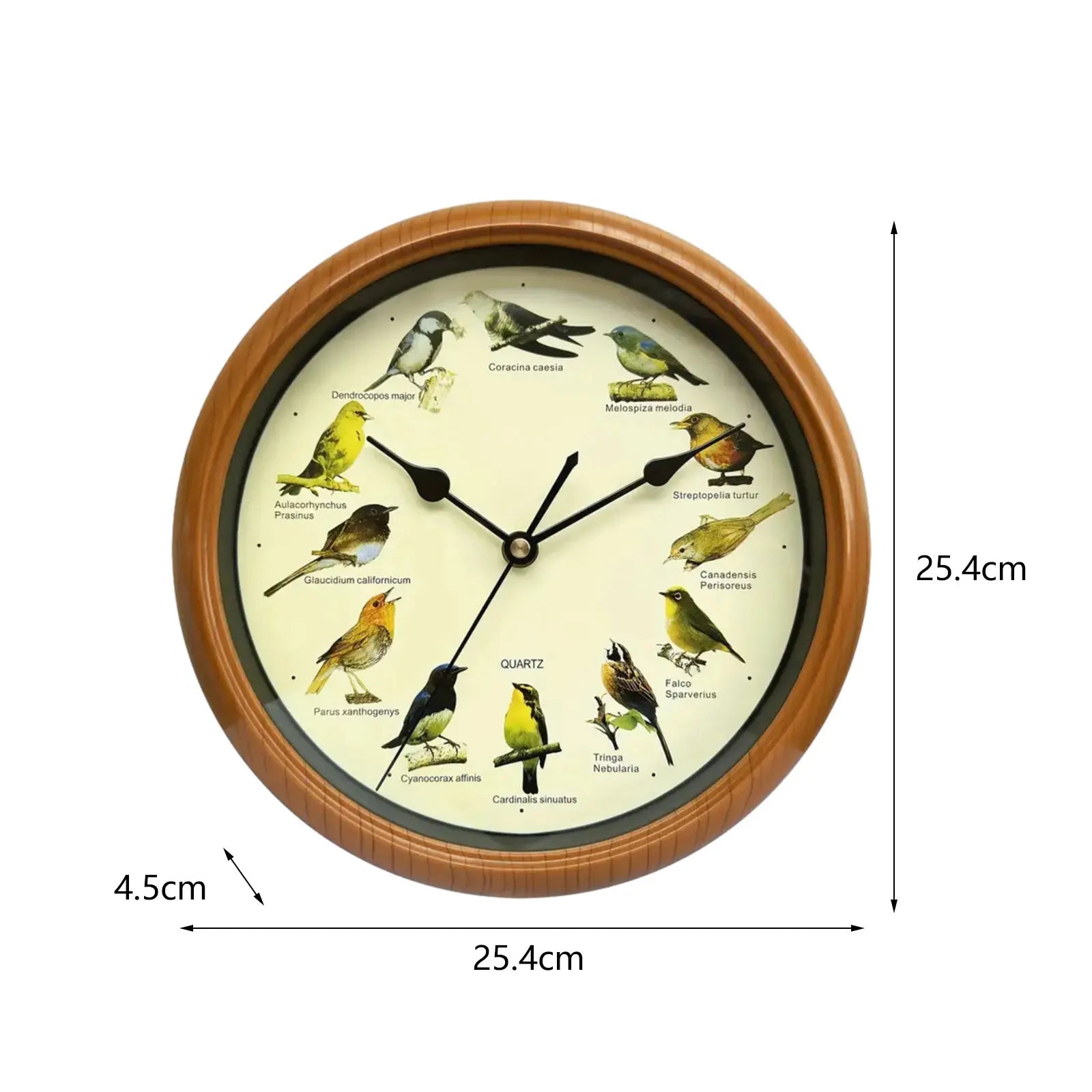 BirdSong Clock – 10 Inch Wall Clock for Stylish Interior