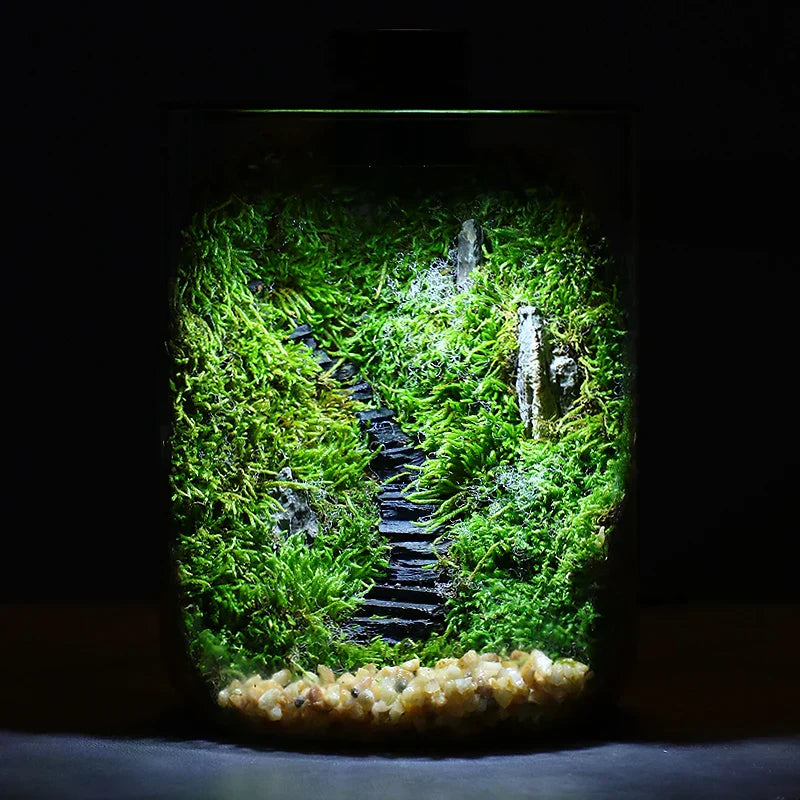 Mini Forest Maker Terrarium Decor Vase