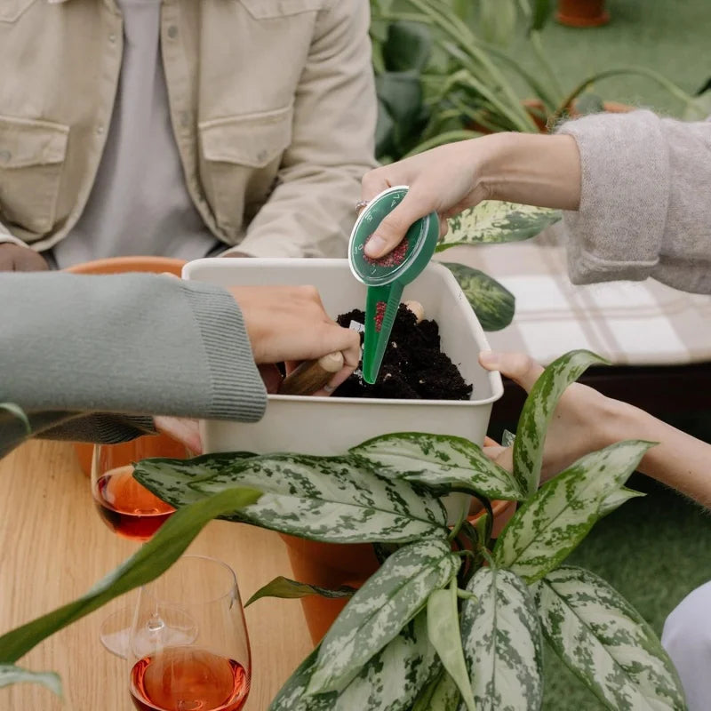 Adjustable Seed Spreader – Precise Garden Seed Distributor for Easy Application
