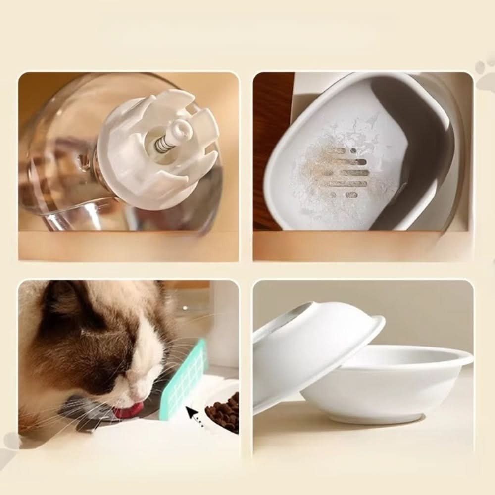 Automatic Food & Water Dispenser for Pets